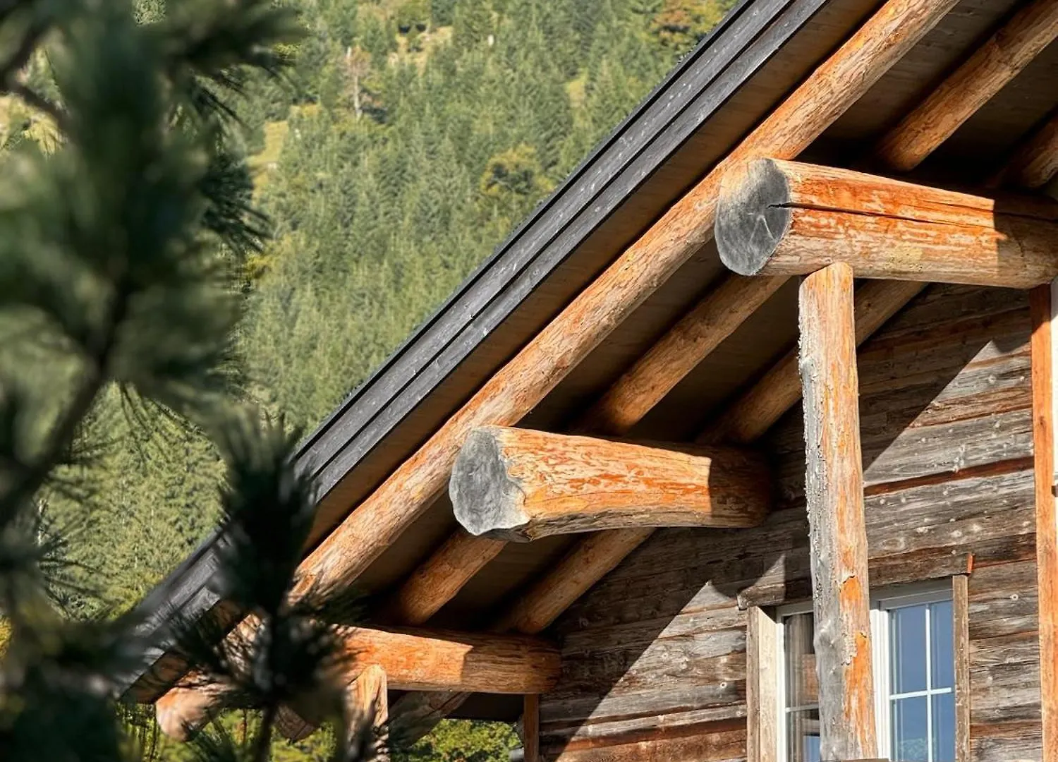 Mountain Lodge Oberjoch - Allgaeu Bad Hindelang Apartment